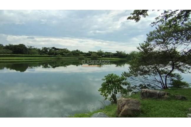 Lotes, Venta, Palmira - $450.000.000