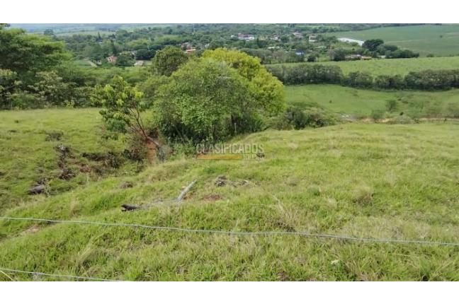 Lotes, Venta, Palmira - $450.000.000