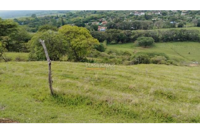 Lotes, Venta, Palmira - $450.000.000