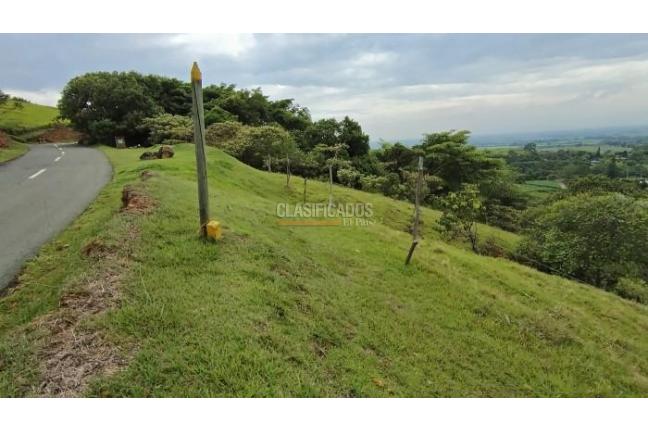 Lotes, Venta, Palmira - $450.000.000