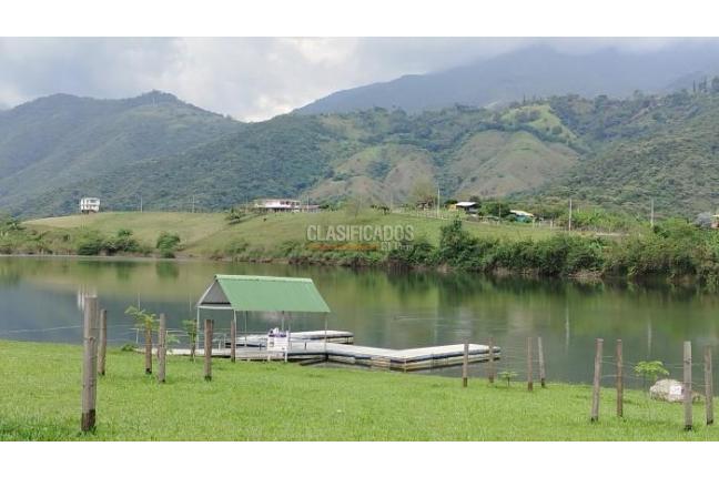 Lotes, Venta, Palmira - $450.000.000