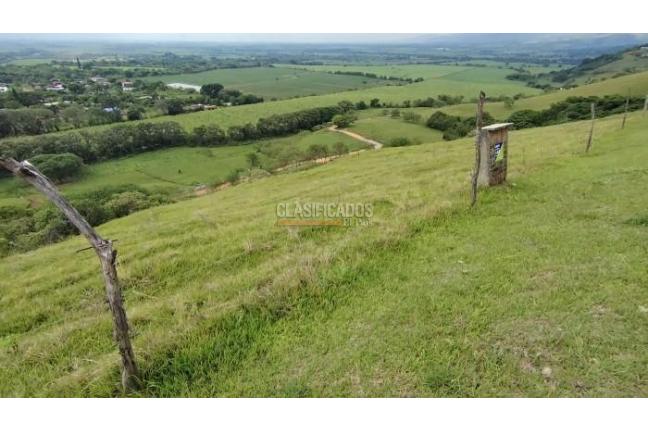 Lotes, Venta, Palmira - $450.000.000