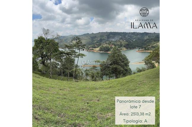 Lotes, Venta, Calima (Darién) - $450.000.000