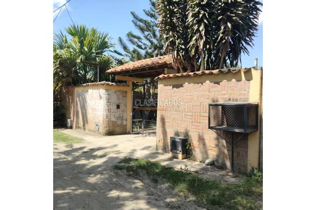 Casas, Venta, Palmira - $350.000.000
