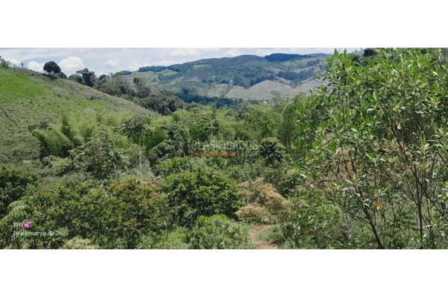 Lotes, Venta en Calima (Darién)