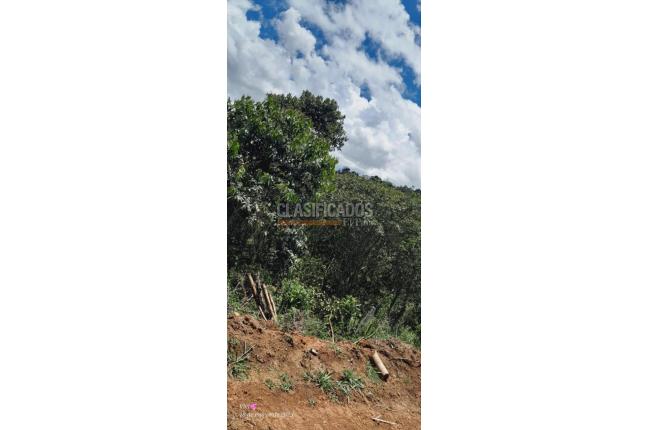 Lotes, Venta en Calima (Darién)