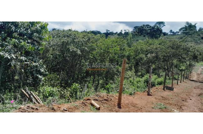 Lotes, Venta, Calima (Darién) - $220.000.000