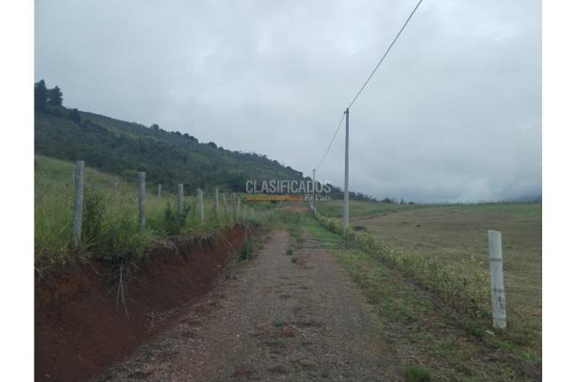 Lotes, Venta, Dagua - $250.000.000
