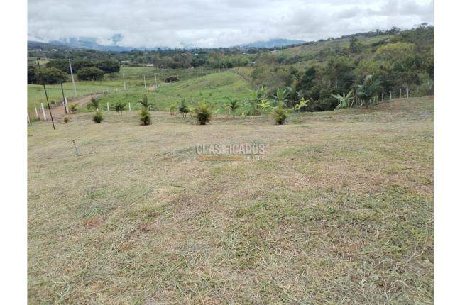 Lotes, Venta, Dagua - $250.000.000