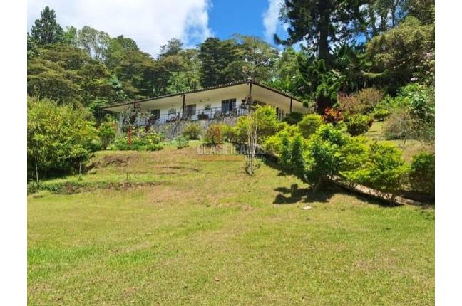 Fincas y Casas Campestres, Venta en Saladito