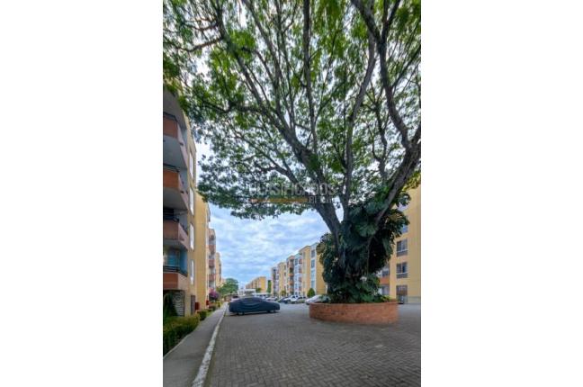 Apartamentos, Venta, Ciudad Bochalema - $195.000.000