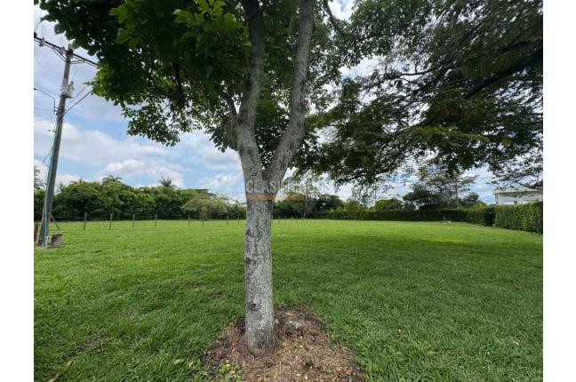 Lotes, Venta en Pance