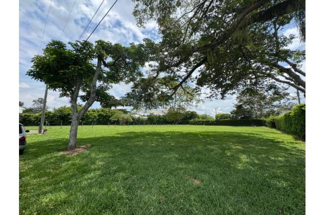 Lotes, Venta en Pance