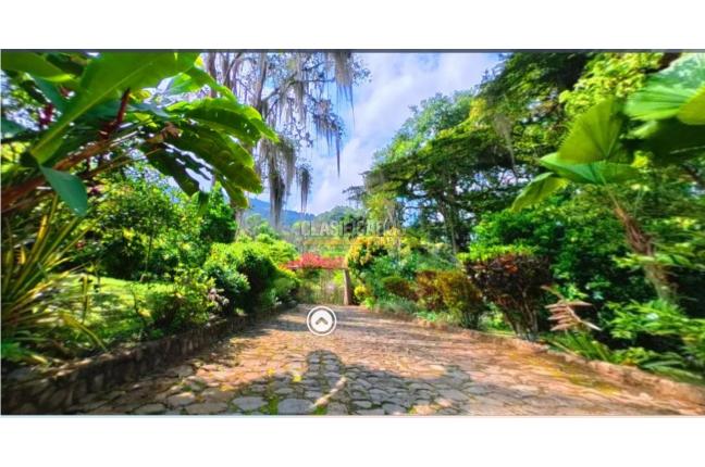 Fincas y Casas Campestres, Venta, Palmira - $600.000.000