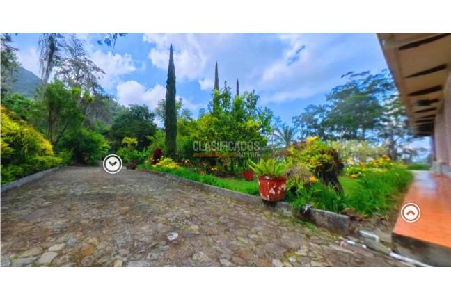 Fincas y Casas Campestres, Venta, Palmira - $600.000.000