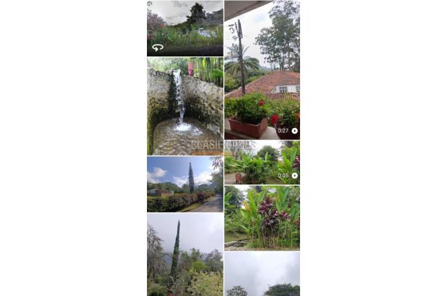 Fincas y Casas Campestres, Venta, Palmira - $600.000.000