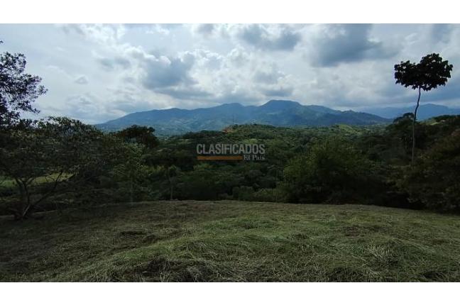 Lotes, Venta en Pance