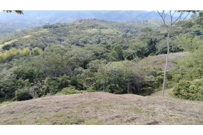 Lotes, Venta en Pance