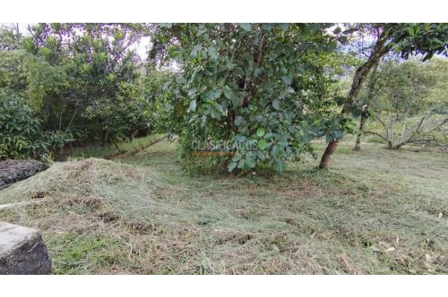 Lotes, Venta, Pance - $900.000.000