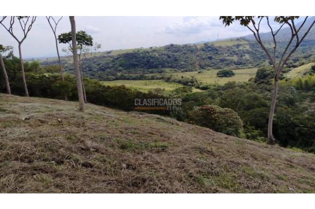 Lotes, Venta, Pance - $900.000.000