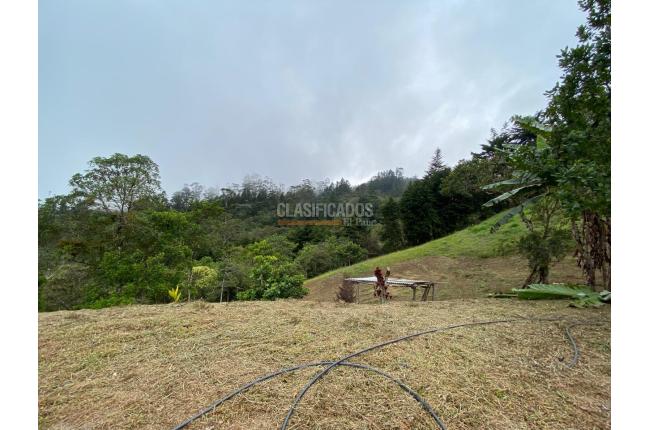 Lotes, Venta, Dagua - $130.000.000