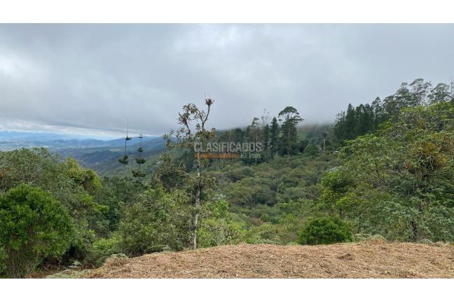 Lotes, Venta, Dagua - $130.000.000