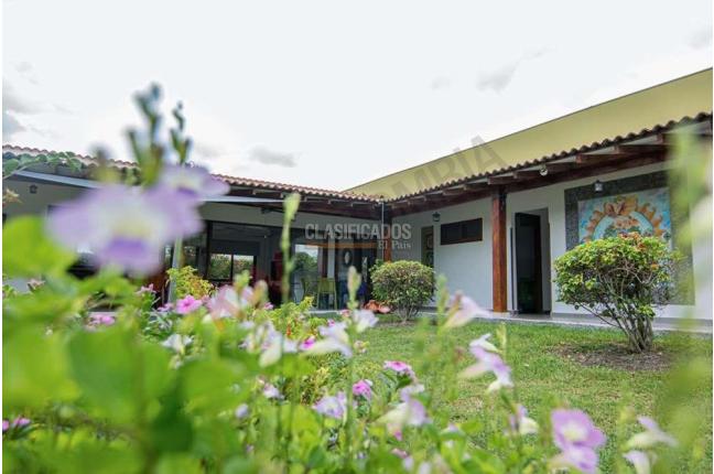 Casas, Venta, Palmira - $1.120.000.000