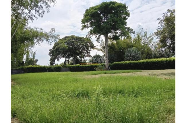 Lotes, Venta, Palmira - $521.000.000