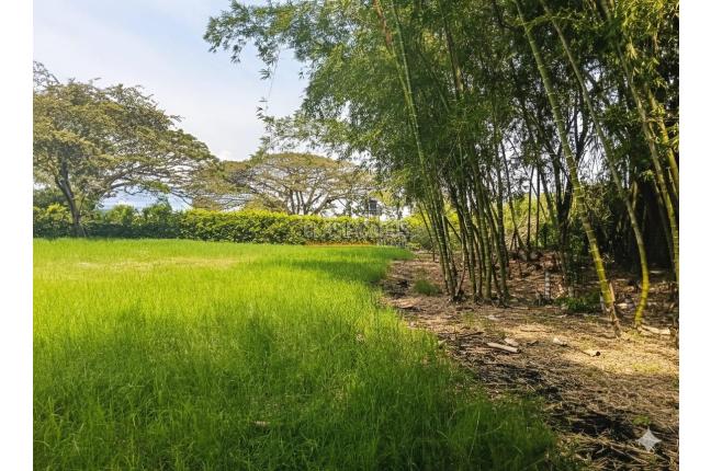 Lotes, Venta, Palmira - $521.000.000