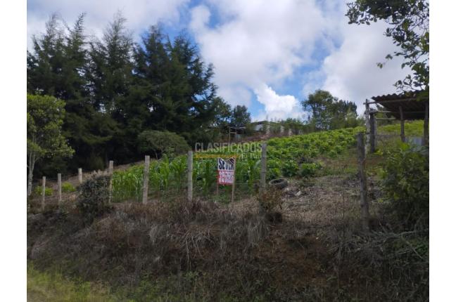 Lotes, Venta, La Cumbre - $365.000.000