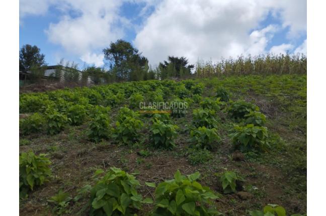 Lotes, Venta, La Cumbre - $365.000.000