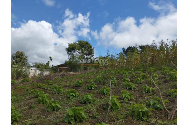 Lotes, Venta, La Cumbre - $365.000.000