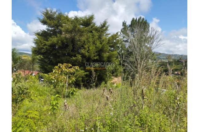 Lotes, Venta, La Cumbre - $365.000.000