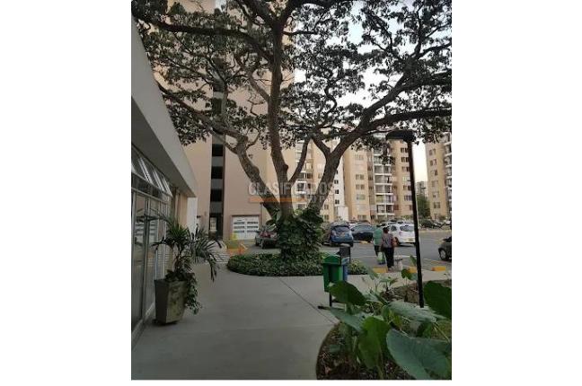 Apartamentos, Venta, Ciudad Bochalema - $245.000.000