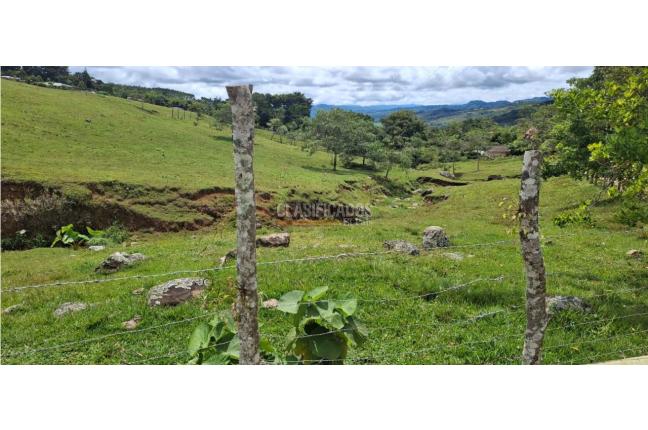 Fincas y Casas Campestres, Venta, Dagua - $450.000.000