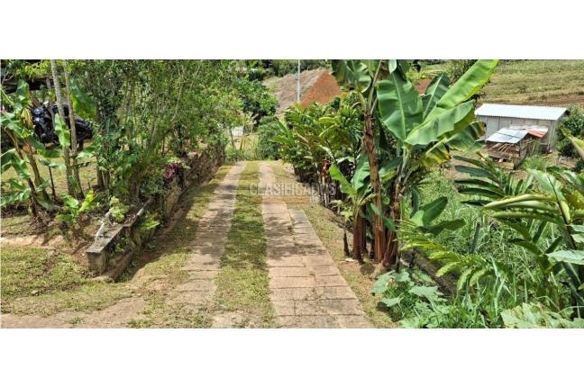 Fincas y Casas Campestres, Venta, Dagua - $450.000.000