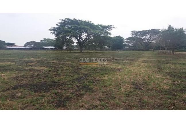 Lotes, Venta, La Dolores - $6.400.000.000