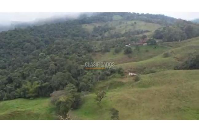 Fincas y Casas Campestres, Venta en Restrepo