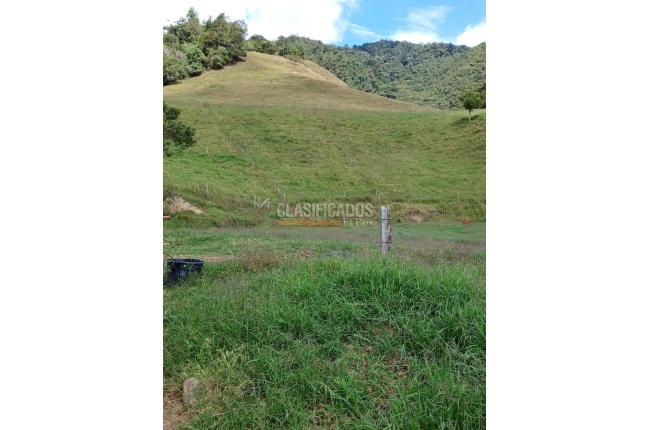 Fincas y Casas Campestres, Venta, Restrepo - $5.000.000.000