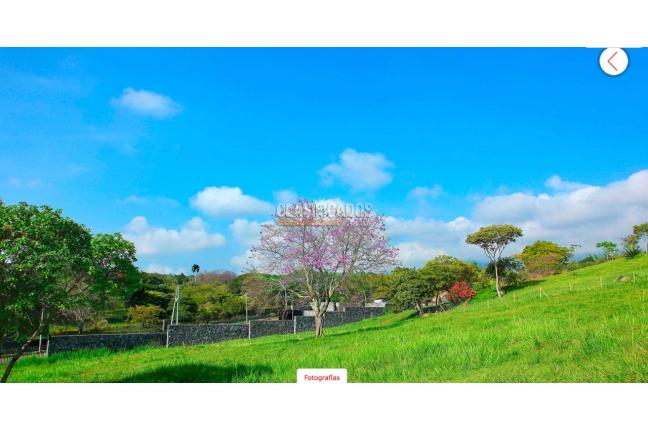 Lotes, Venta, La Riverita - $1.750.000.000