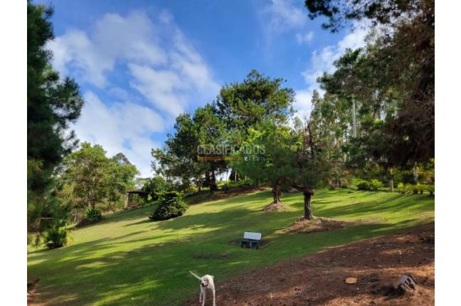 Fincas y Casas Campestres, Venta, Dagua - $1.200.000.000.000