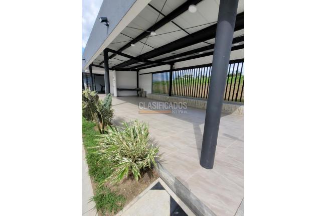 Apartamentos, Alquiler en Pereira