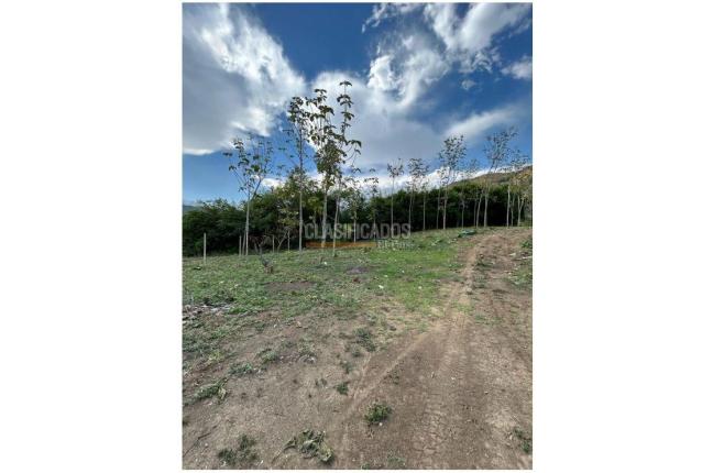 Lotes, Venta en Yumbo