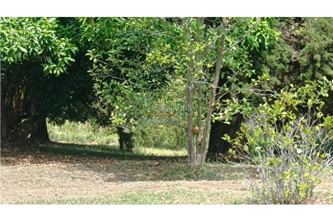 Lotes, Venta en Pance