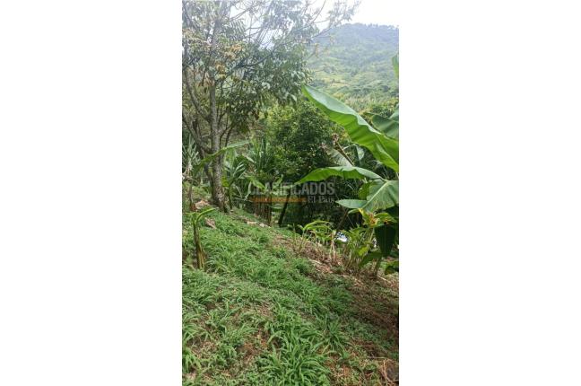 Lotes, Venta en Pance