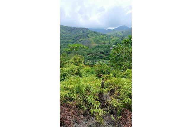 Lotes, Venta, Pance - $2.300.000.000