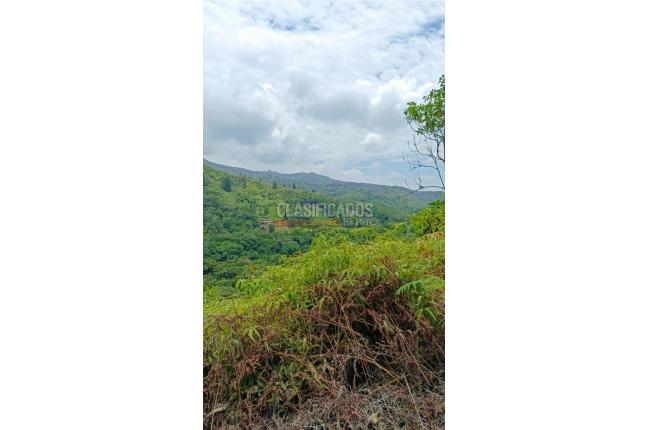 Lotes, Venta, Pance - $2.300.000.000