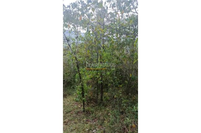 Lotes, Venta, Pance - $2.300.000.000