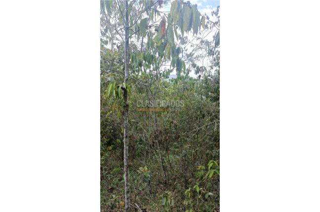 Lotes, Venta, Pance - $2.300.000.000