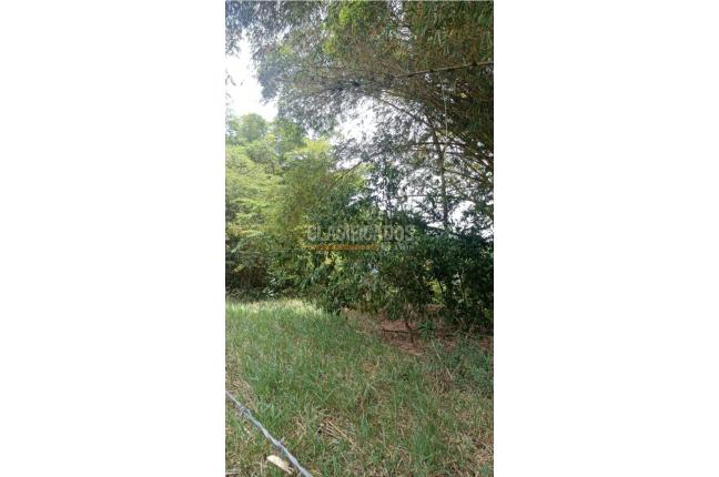 Lotes, Venta, Pance - $2.300.000.000